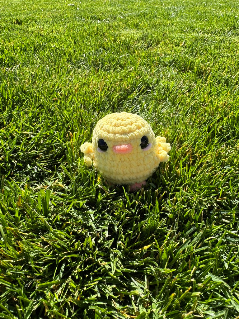 Chickadee the Chick