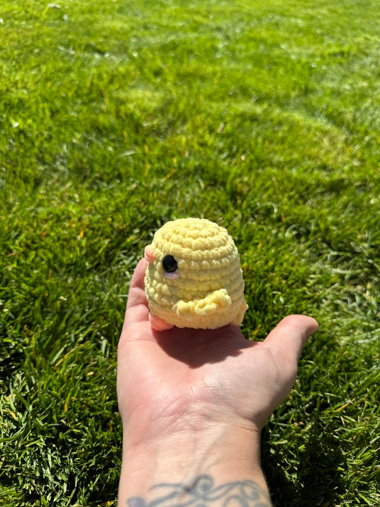 Chickadee the Chick