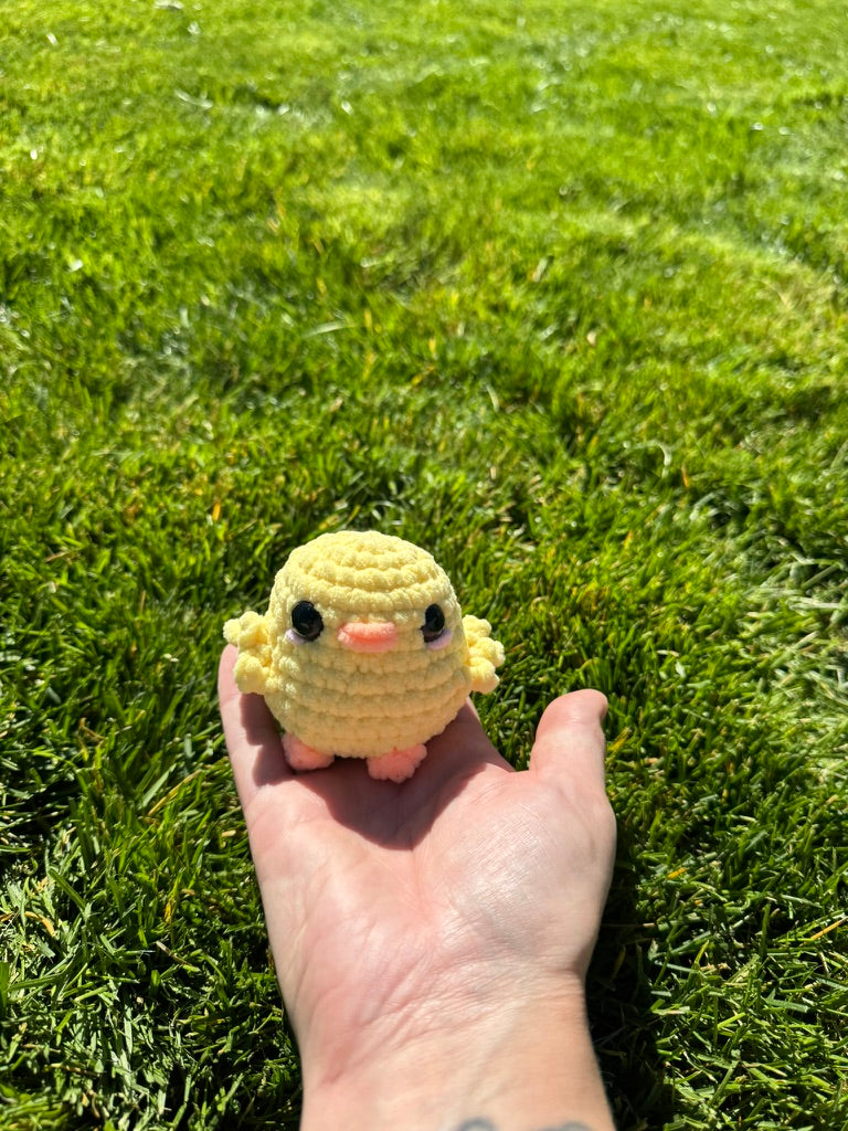 Chickadee the Chick