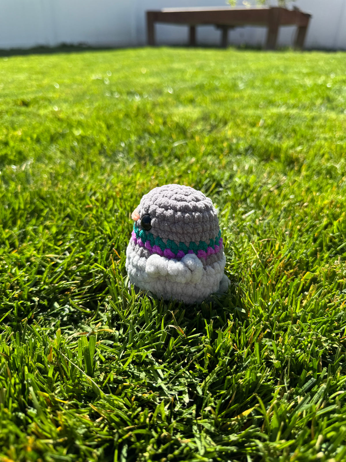 Pigee the Pigeon