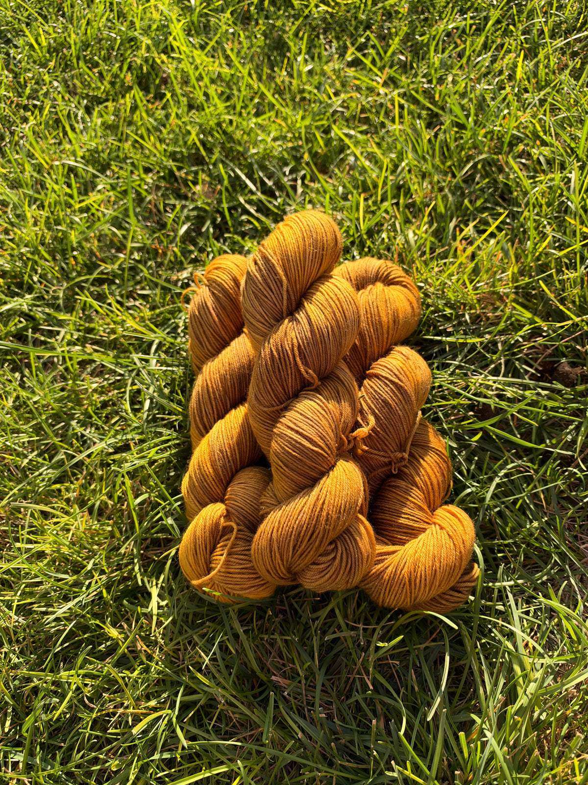 Honeyed Oak