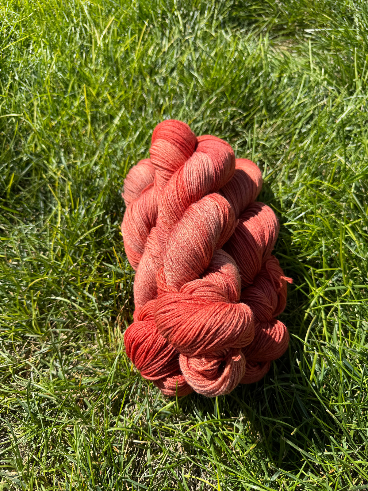 Sun-Baked Clay - PRE-ORDER