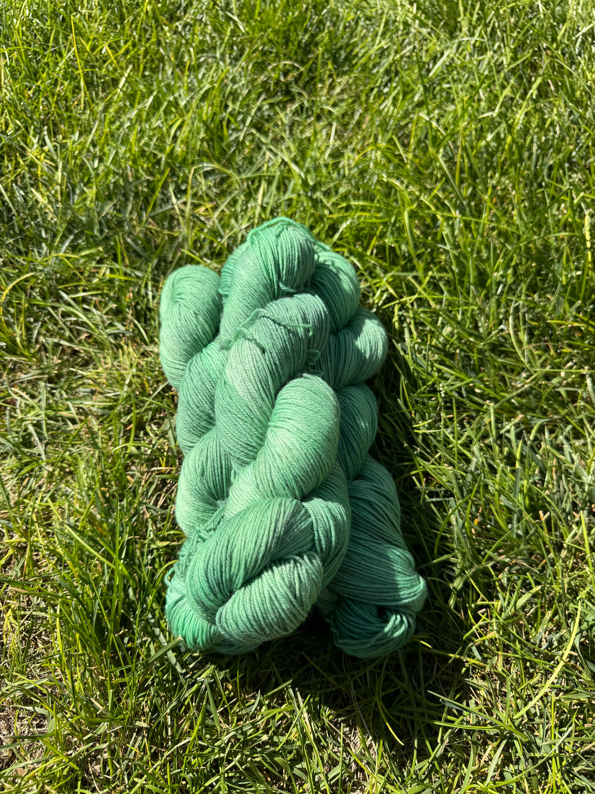 Desert Sage - PRE-ORDER
