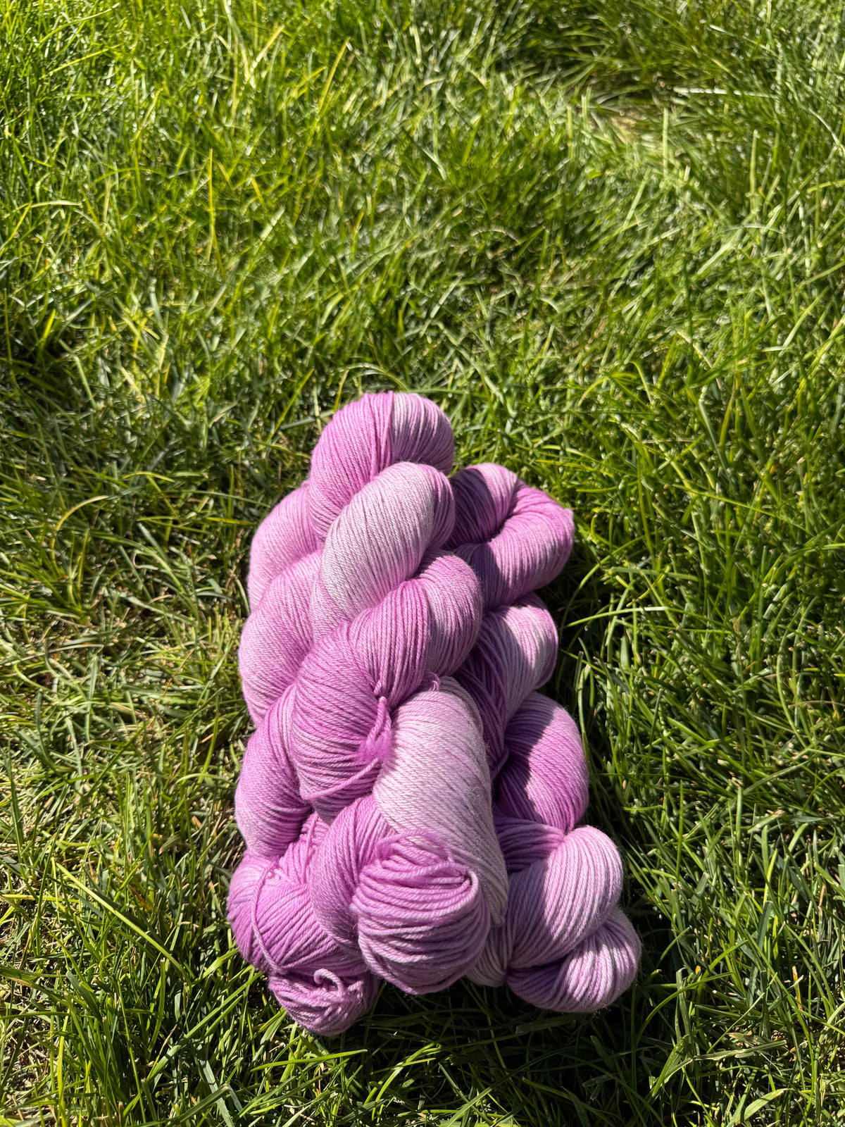 Canyon Rose - PRE-ORDER