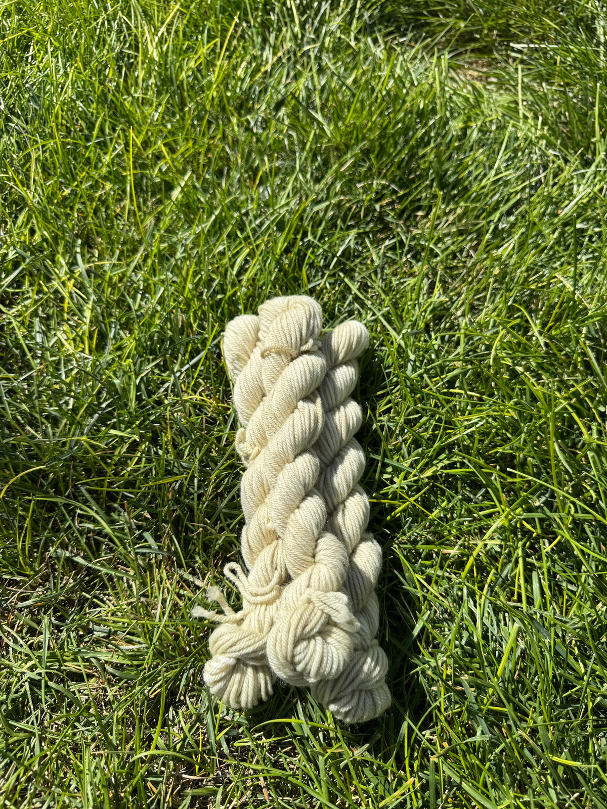 Dessert Essentials Mini Skein Bundle - PRE-ORDER