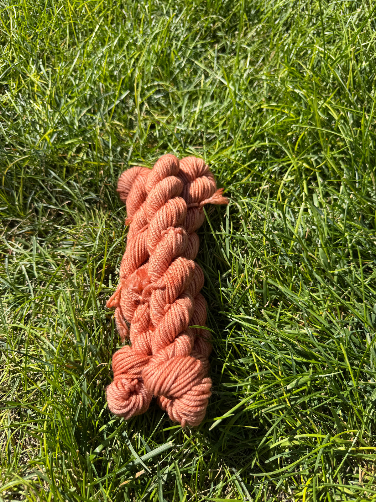 Dessert Essentials Mini Skein Bundle - PRE-ORDER