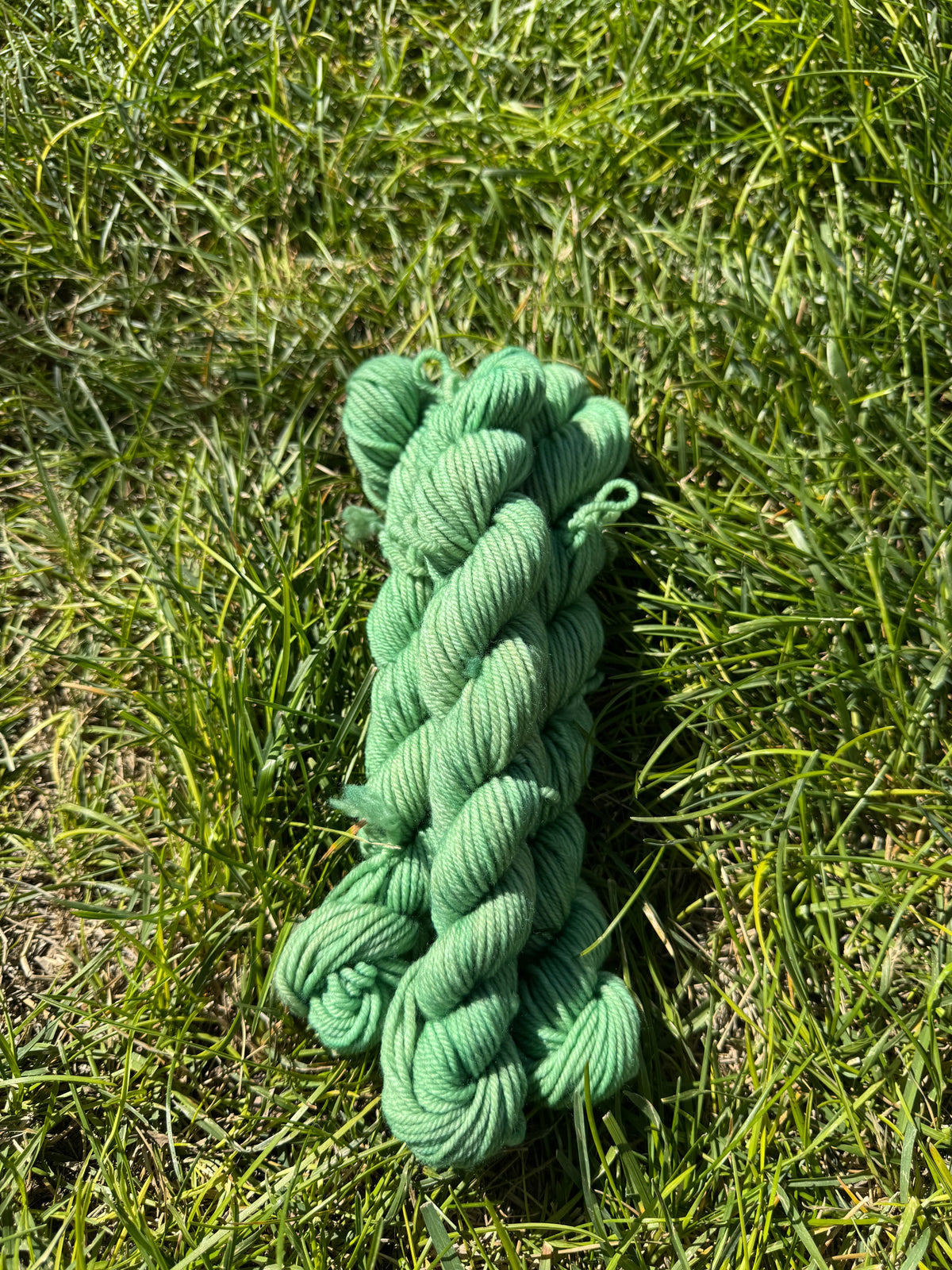 Dessert Essentials Mini Skein Bundle - PRE-ORDER