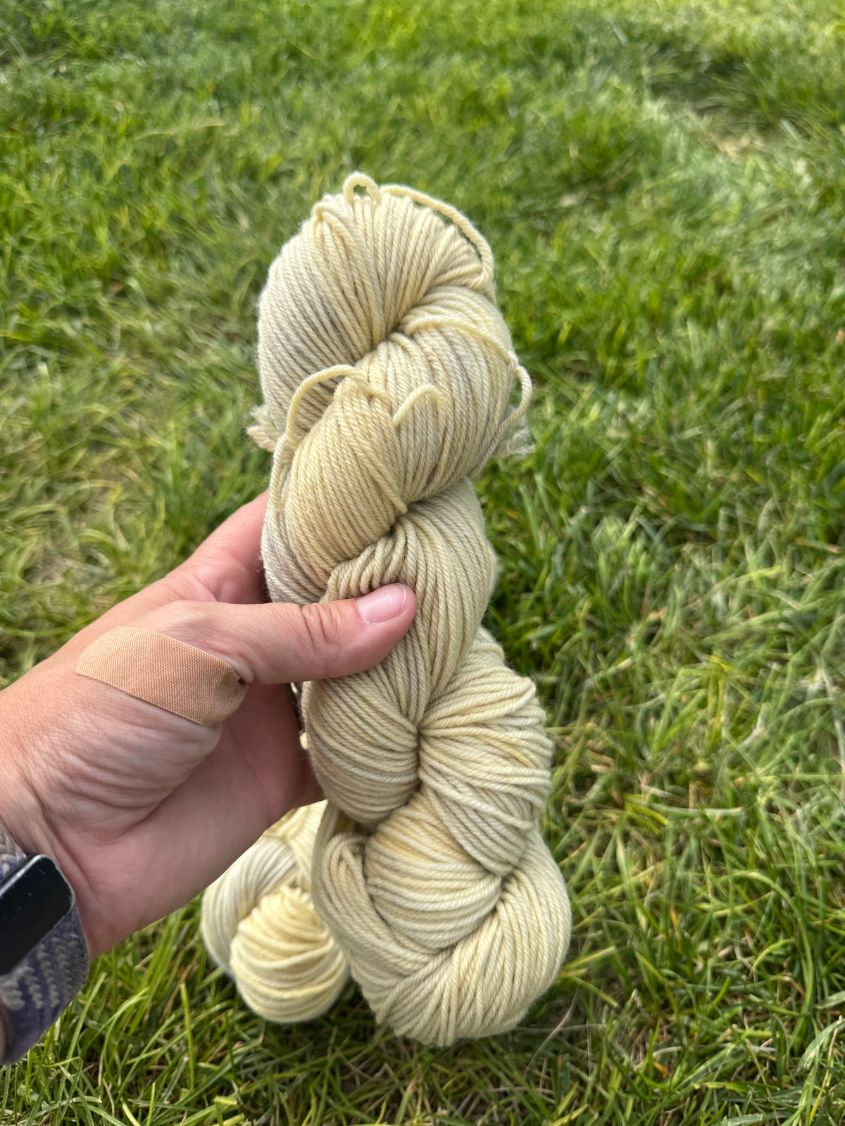 Wasatch Snow - PRE-ORDER