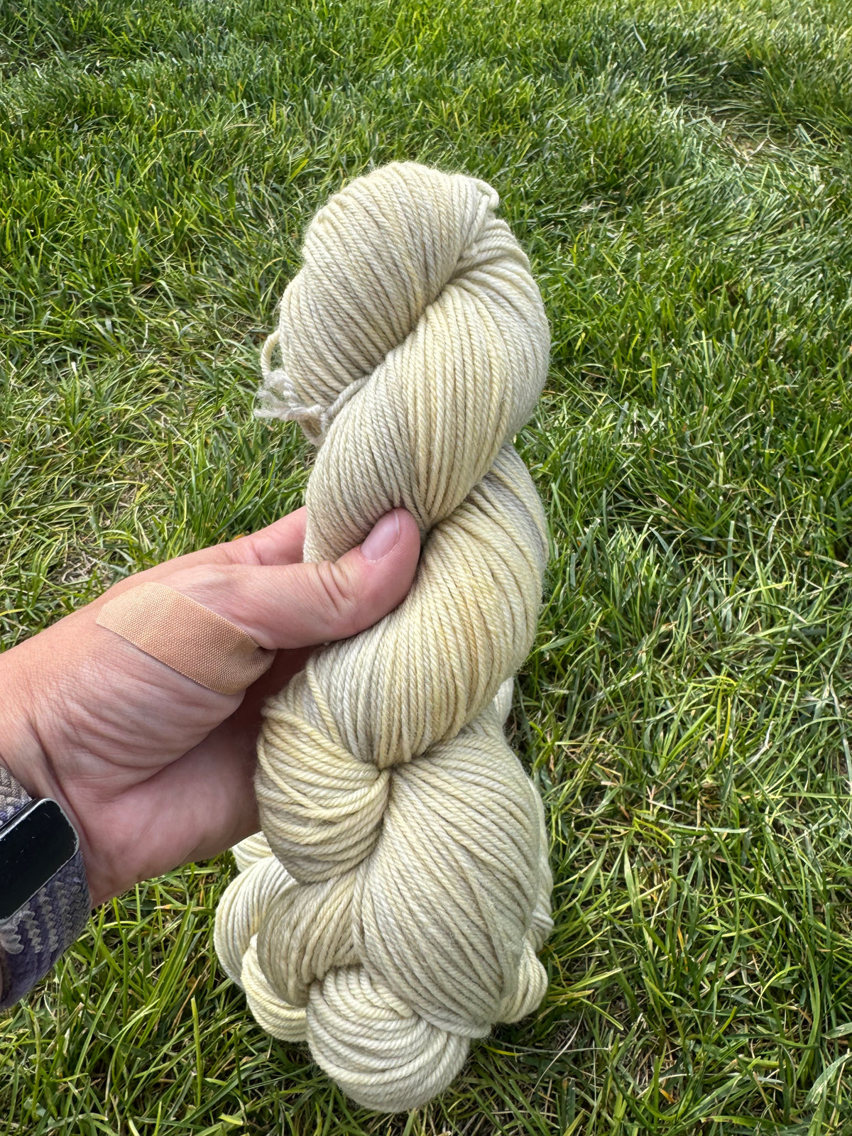 Wasatch Snow - PRE-ORDER