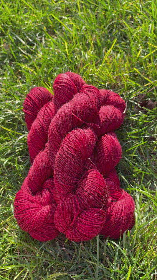 Velvet Ember